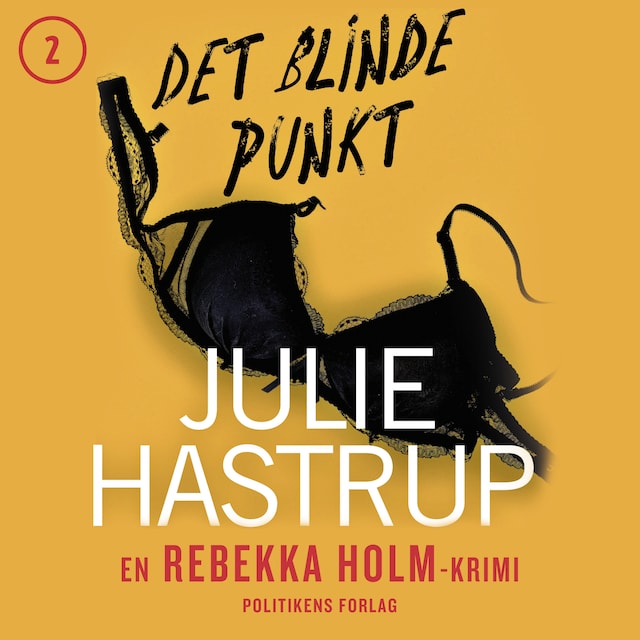 Copertina del libro per Det blinde punkt