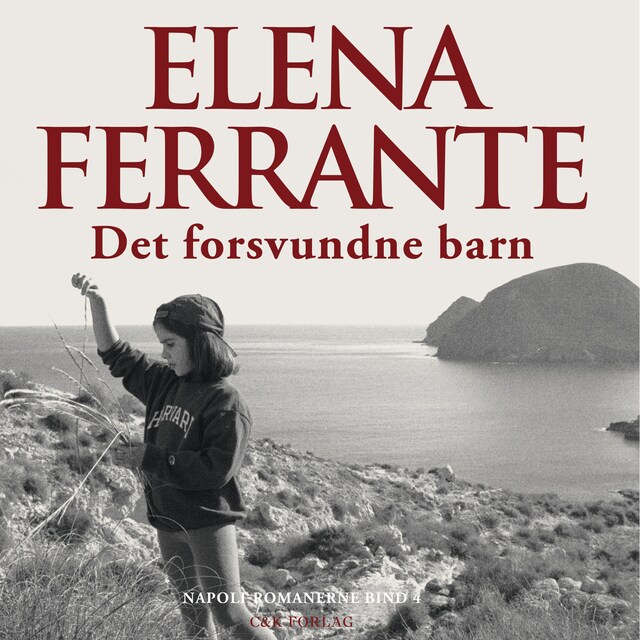 Couverture de livre pour Det forsvundne barn