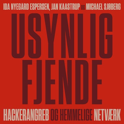Usynlig fjende. Hackerangreb og hemmelige netværk