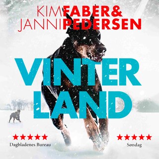 Vinterland bookCoverFor