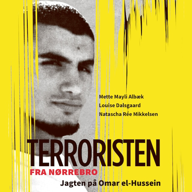 Book cover for Terroristen fra Nørrebro