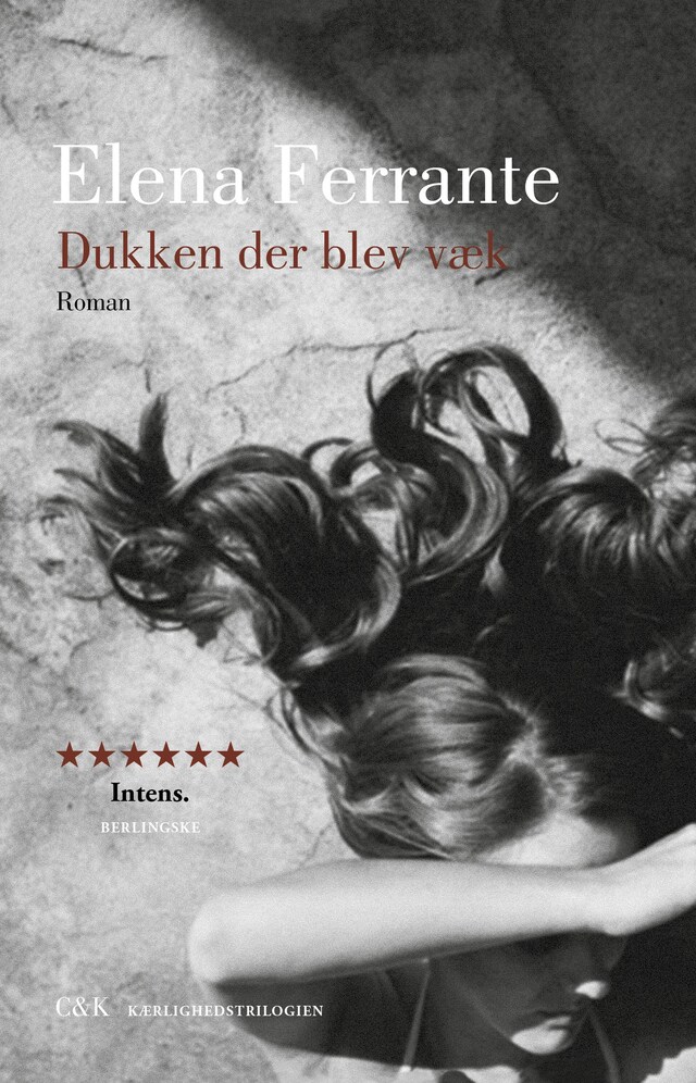 Couverture de livre pour Dukken der blev væk