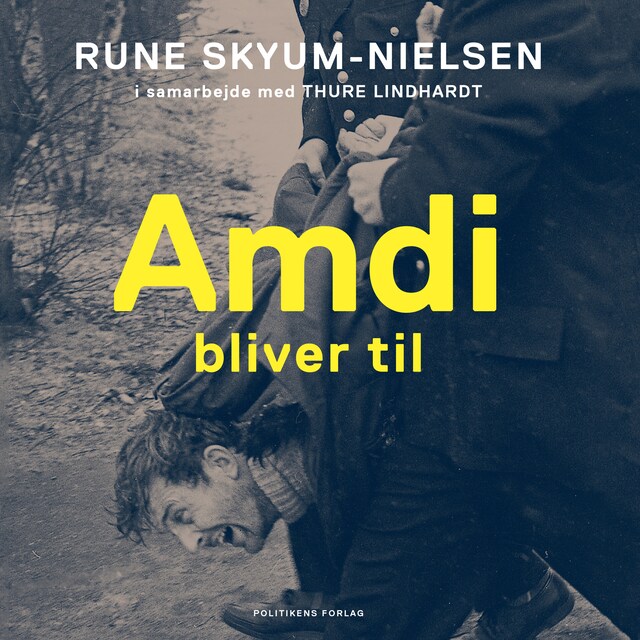 Book cover for Amdi bliver til