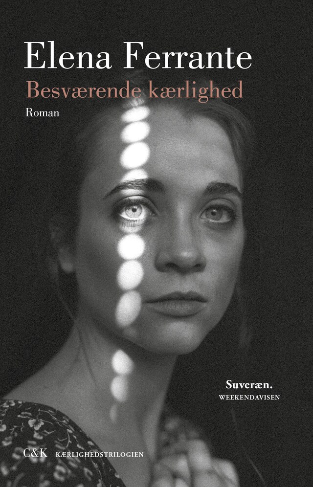 Couverture de livre pour Besværende kærlighed