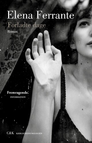 Forladte dage bookCoverFor