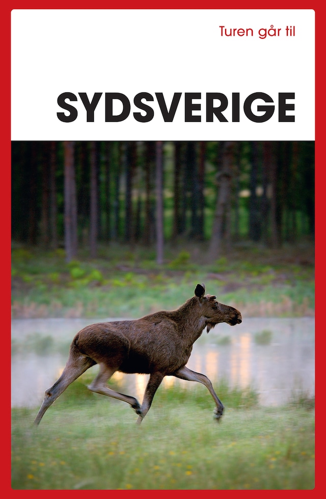 Book cover for Turen går til Sydsverige