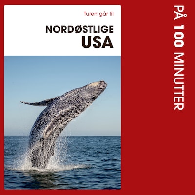 Turen går til Nordøstlige USA på 100 minutter