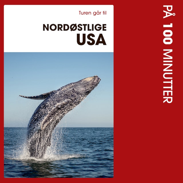 Book cover for Turen går til Nordøstlige USA på 100 minutter