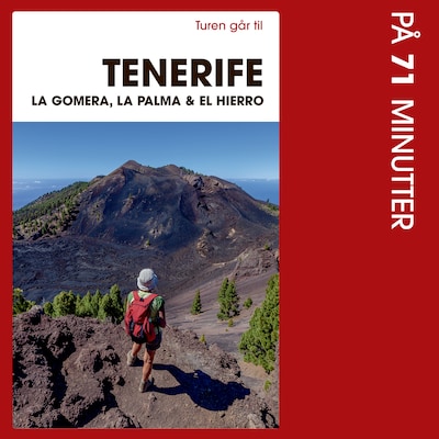 Turen går til Tenerife, La Gomera, La Palma & El Hierro på 71 minutter