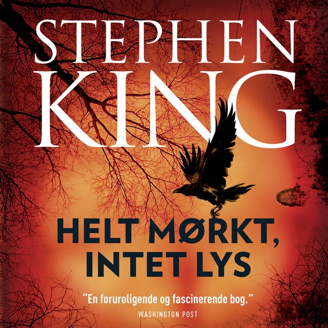 Book cover for Helt mørkt, intet lys