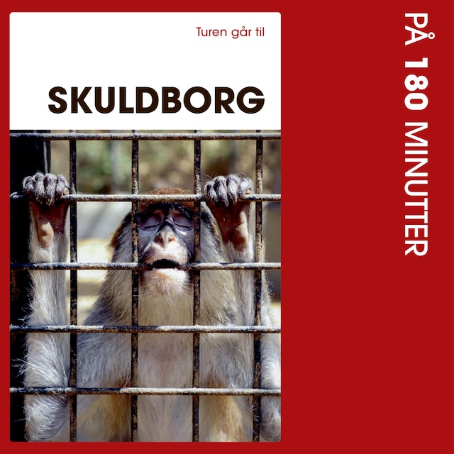 Book cover for Turen går til Skuldborg på 180 minutter