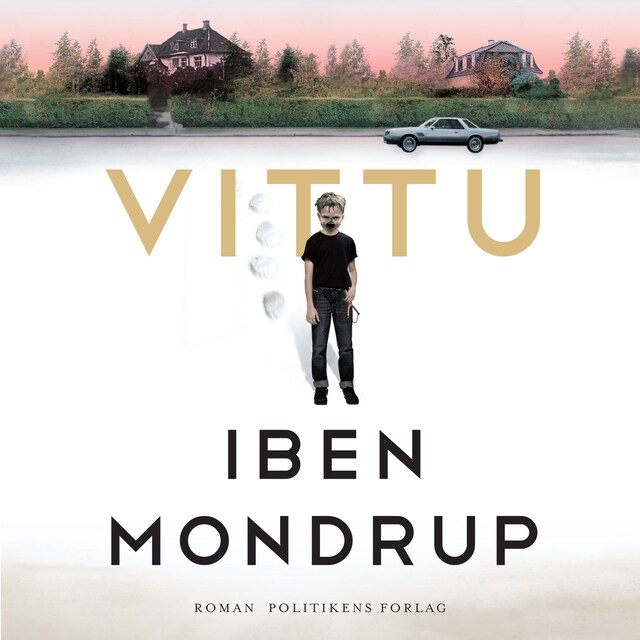 Couverture de livre pour Vittu