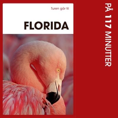 Turen går til Florida på 117 minutter