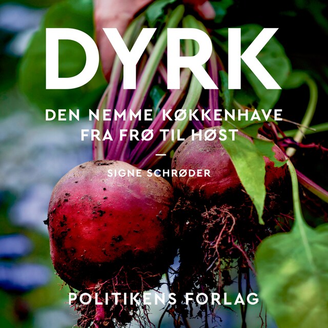 Buchcover für Dyrk