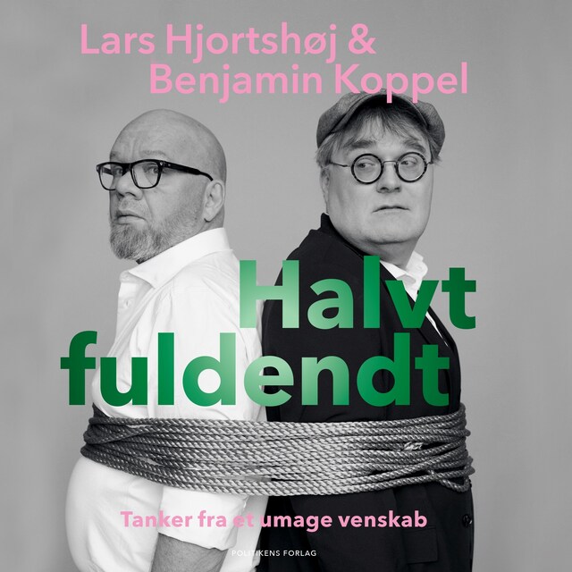 Book cover for Halvt fuldendt