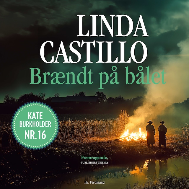Bogomslag for Brændt på bålet