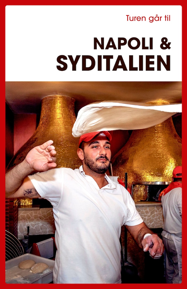 Book cover for Turen går til Napoli & Syditalien