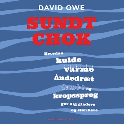 Sundt chok bookCoverFor