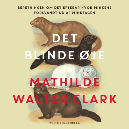 Det blinde øje bookCoverFor