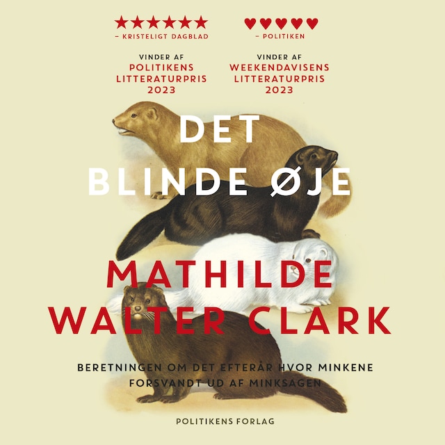 Book cover for Det blinde øje