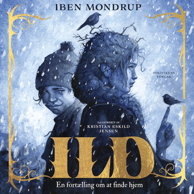 Buchcover für Ild