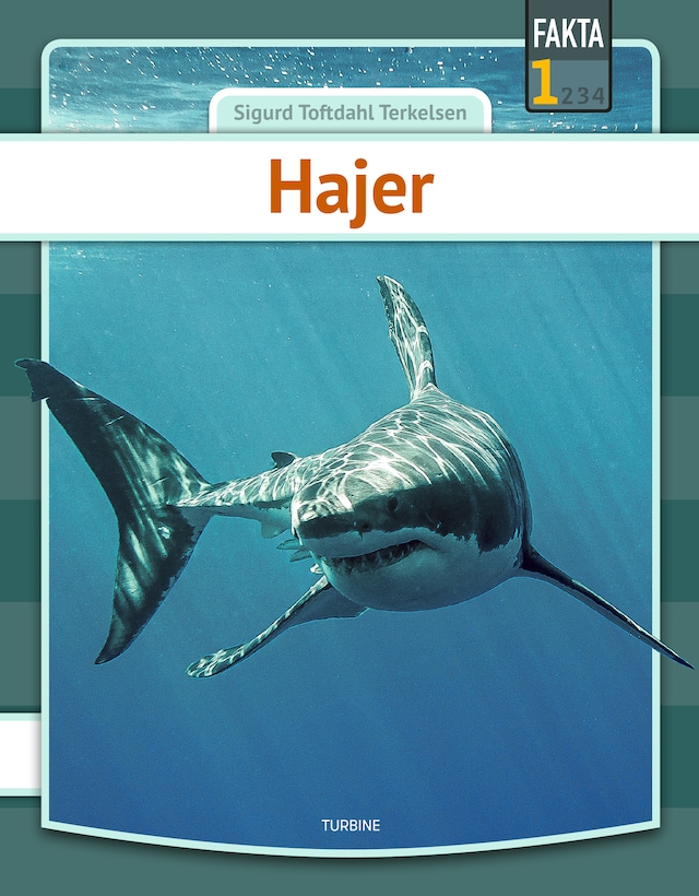 Book cover for Hajer