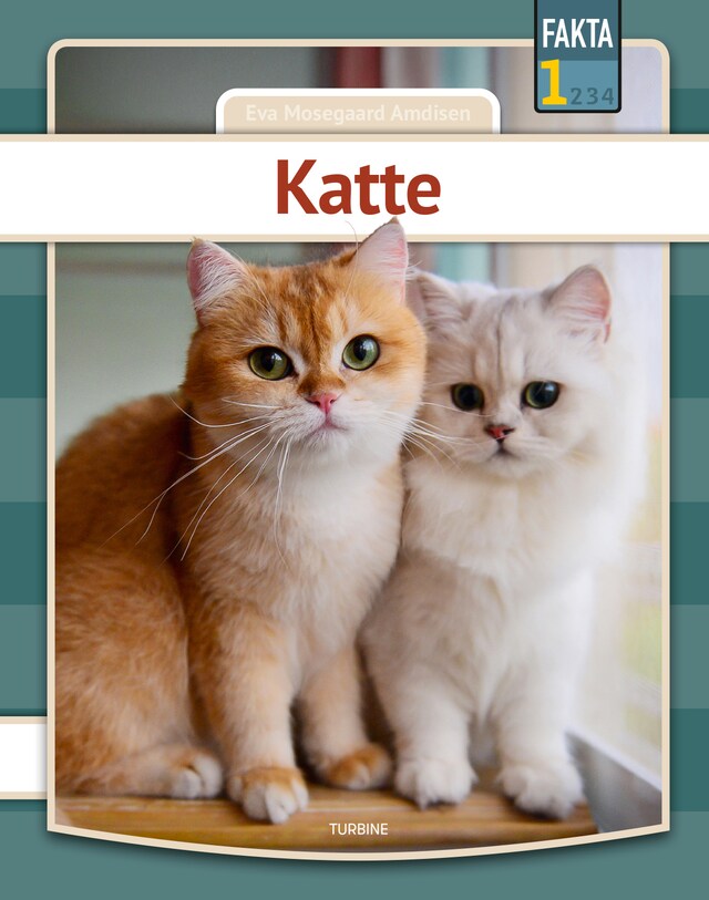 Book cover for Katte