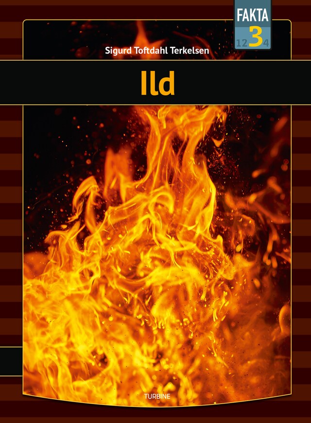 Book cover for Ild