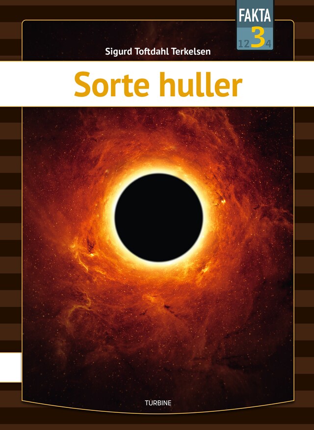 Book cover for Sorte huller