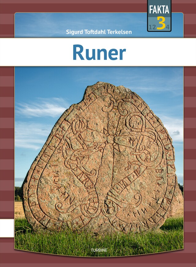 Copertina del libro per Runer