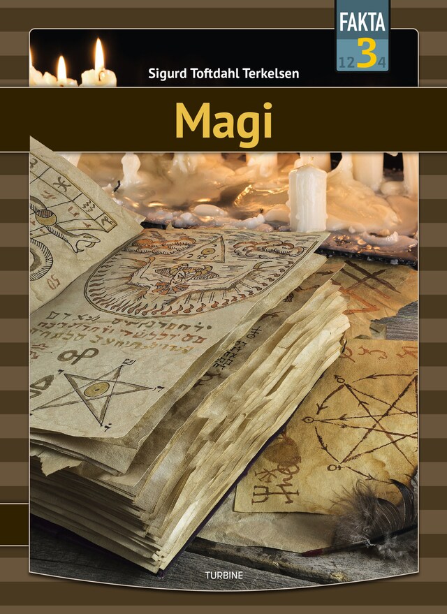 Portada de libro para Magi