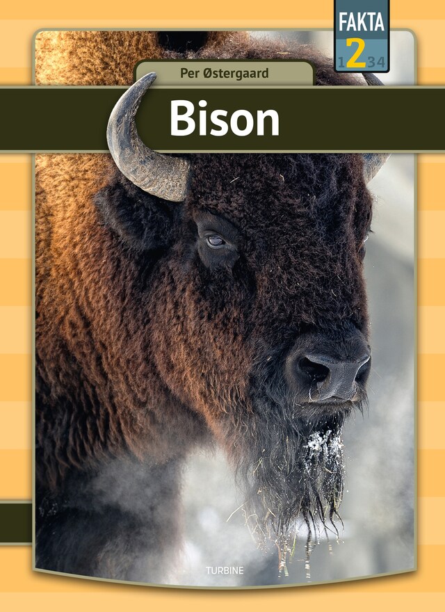 Buchcover für Bison