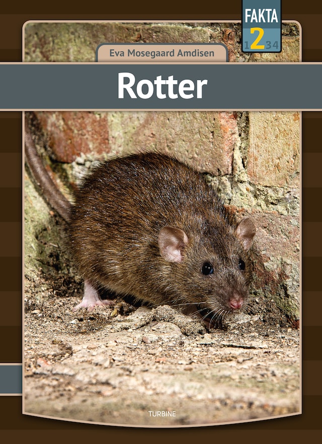 Kirjankansi teokselle Rotter