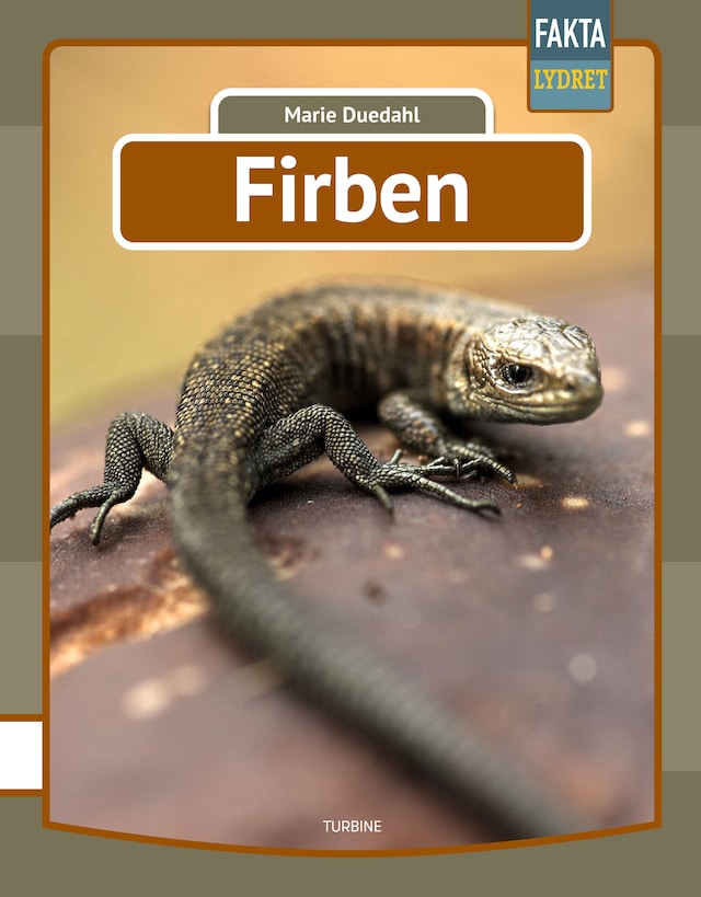Book cover for Firben