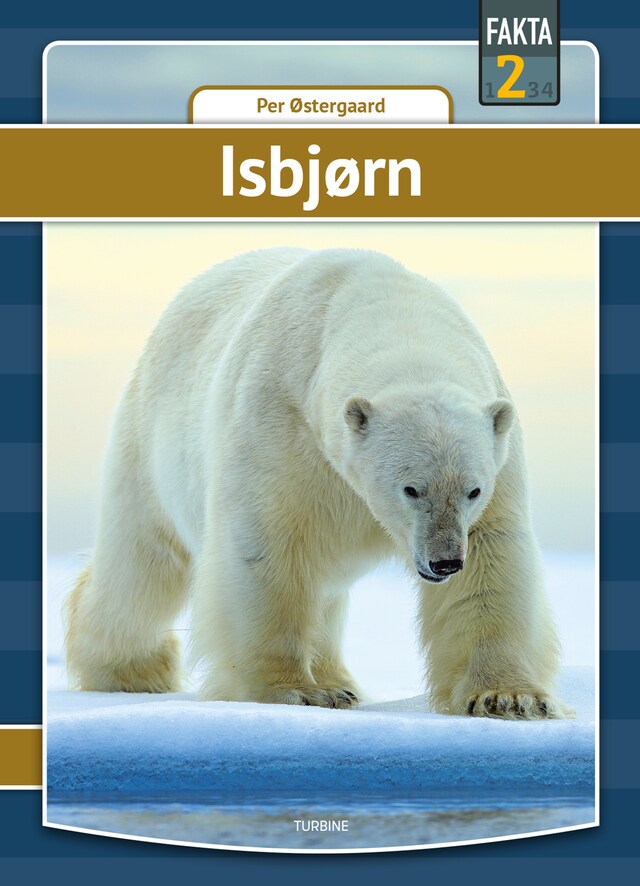 Book cover for Isbjørn