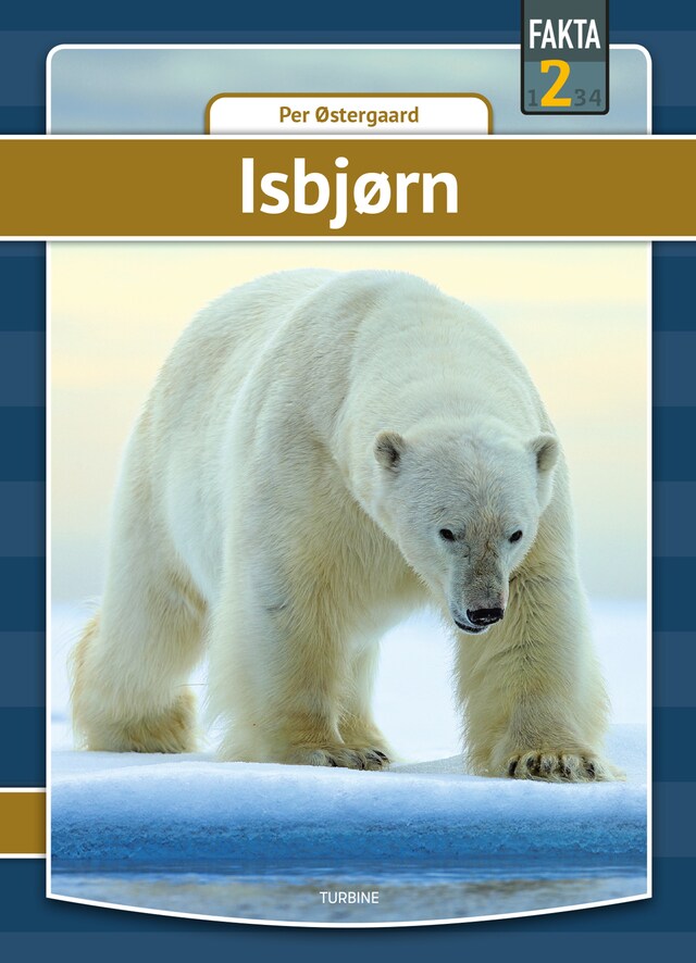 Copertina del libro per Isbjørn