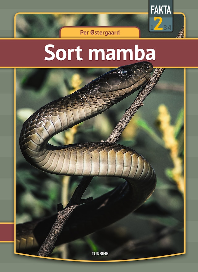 Book cover for Sort mamba