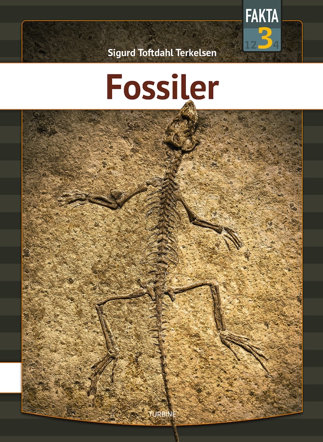 Book cover for Fossiler