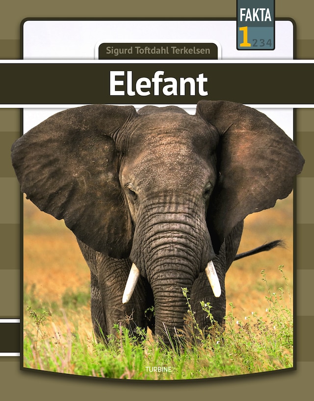 Okładka książki dla Elefant