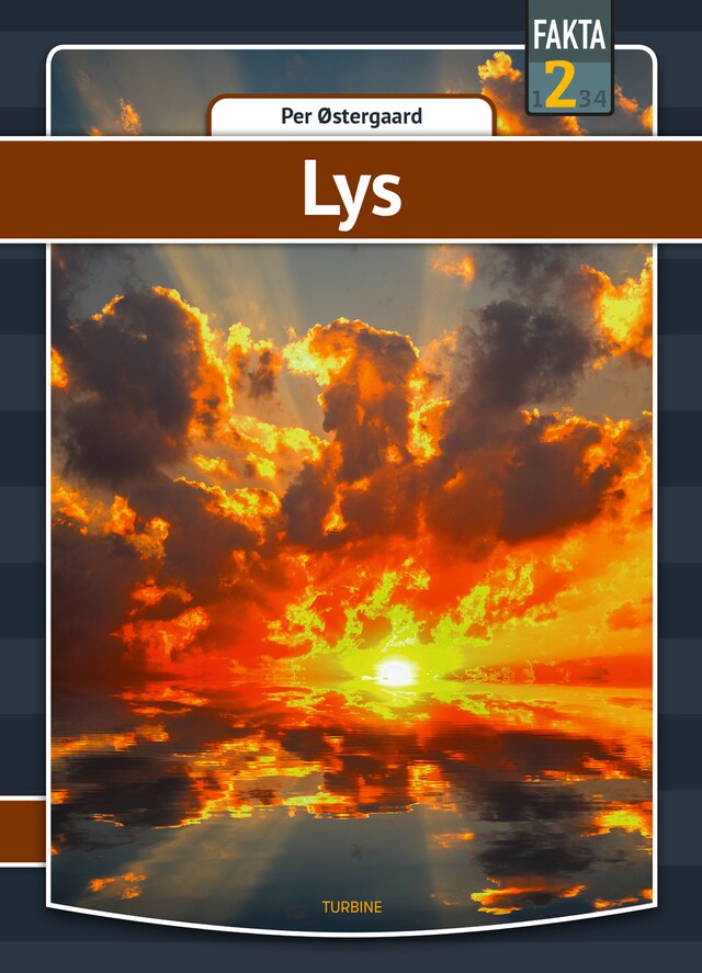Book cover for Lys