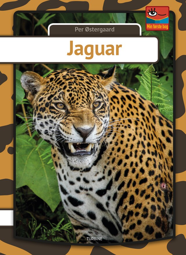 Copertina del libro per Jaguar