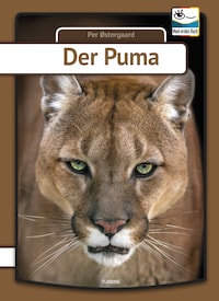 Der Puma