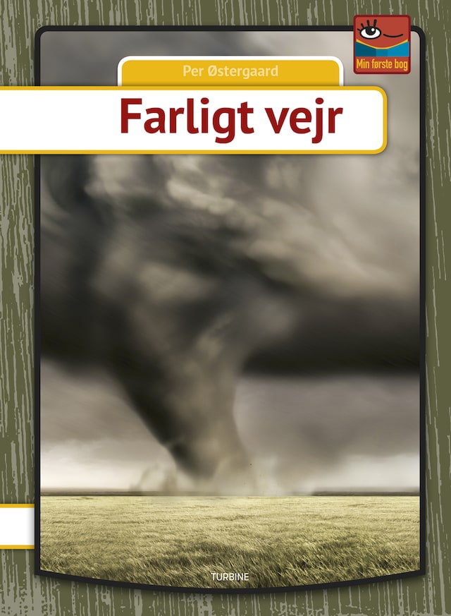 Book cover for Farligt vejr