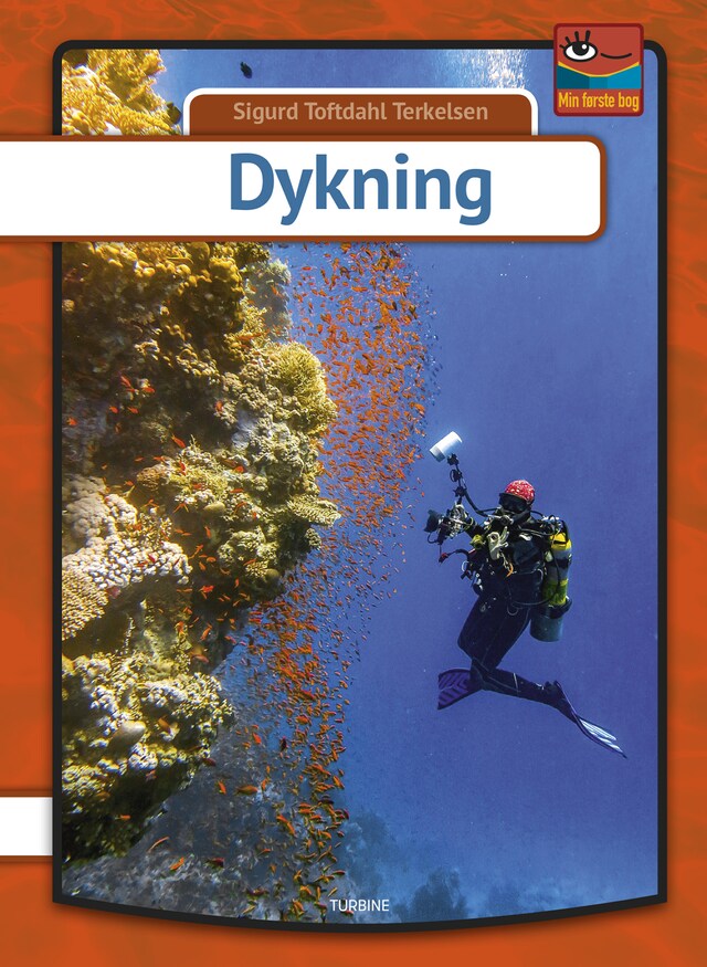 Book cover for Dykning