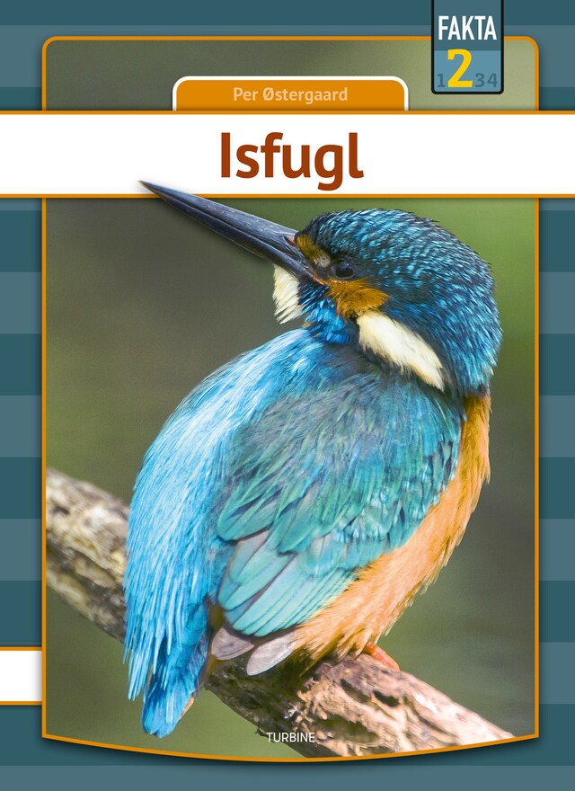 Book cover for Isfugl