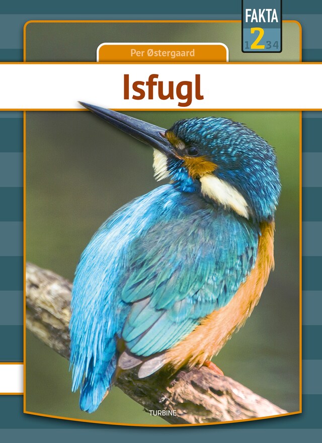 Couverture de livre pour Isfugl