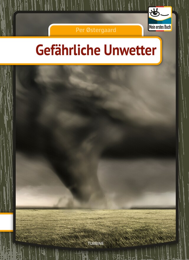 Book cover for Gefährliche Unwetter