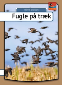 Fugle på træk