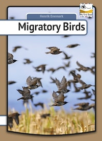 Migratory Birds