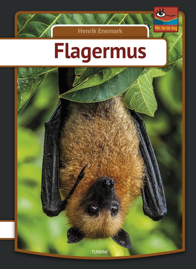 Book cover for Flagermus